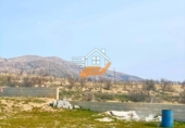 Rural estate for sale in Chirivel ref: TR264608 photo