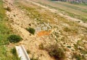 Rural estate for sale in Chirivel ref: TR264608 photo