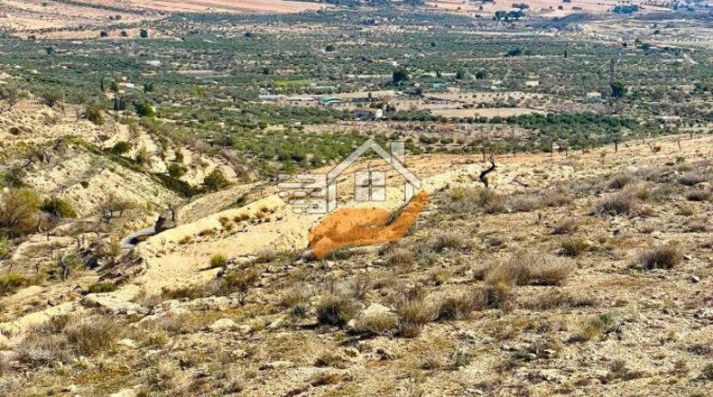 Almería - Vélez-Blanco - 30000m2