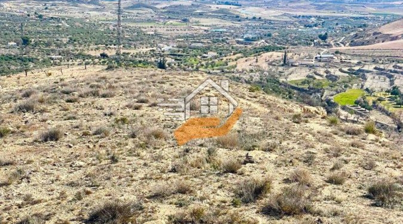 Almería - Vélez-Blanco - 30000m2