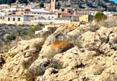 Non-developable land for sale in Vélez-Blanco ref: TR253730 photo