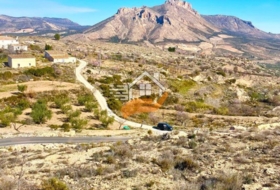 Foto 6