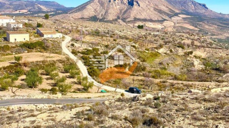 Almería - Vélez-Blanco - 30000m2