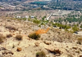 Non-developable land for sale in Vélez-Blanco ref: TR253730 photo