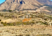Non-developable land for sale in Vélez-Blanco ref: TR253730 photo