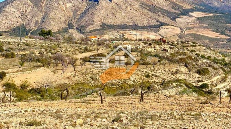 Almería - Vélez-Blanco - 30000m2