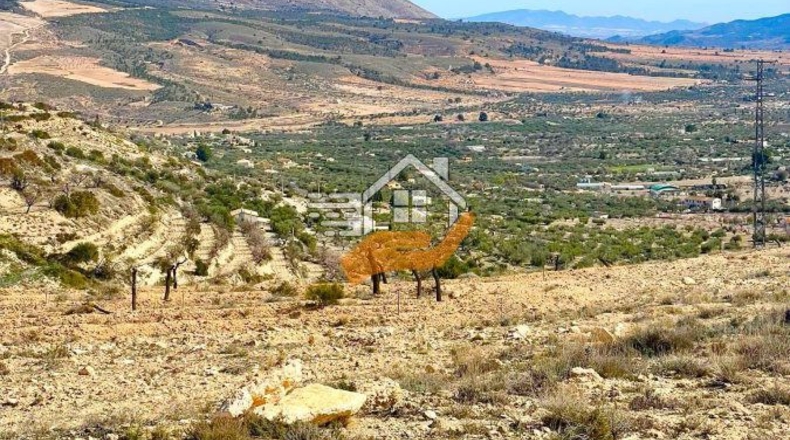 Almería - Vélez-Blanco - 30000m2