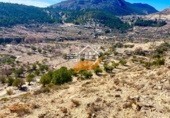 Non-developable land for sale in Vélez-Blanco ref: TR253730 photo