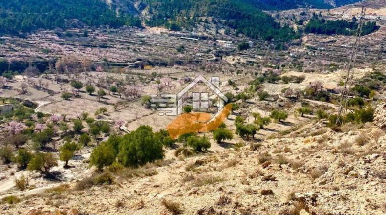 Almería - Vélez-Blanco - 30000m2