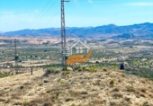 Non-developable land for sale in Vélez-Blanco ref: TR253730 photo