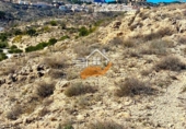 Non-developable land for sale in Vélez-Blanco ref: TR253730 photo