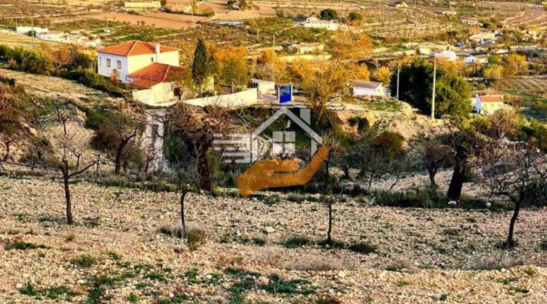 Almería - Vélez-Rubio - 7000m2