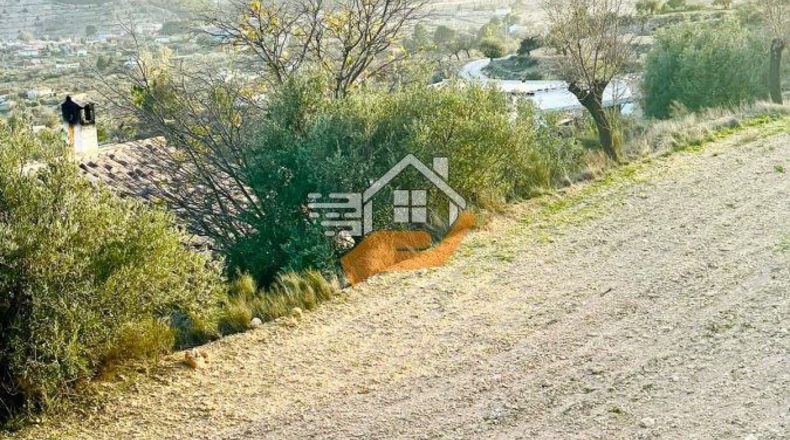Almería - Vélez-Rubio - 7000m2