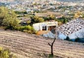Terreno no urbanizable en venta en Vélez-Rubio ref: TR253731 foto