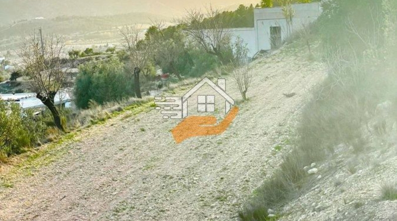 Almería - Vélez-Rubio - 7000m2