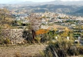 Terreno no urbanizable en venta en Vélez-Rubio ref: TR253731 foto