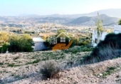 Terreno no urbanizable en venta en Vélez-Rubio ref: TR253731 foto
