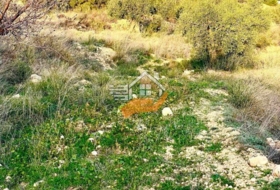 Foto 12