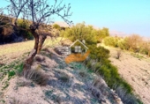 Terreno no urbanizable en venta en Vélez-Rubio ref: TR253731 foto