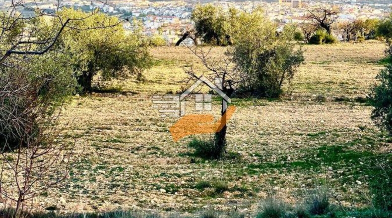 Almería - Vélez-Rubio - 7000m2