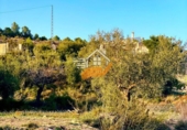 Terreno no urbanizable en venta en Vélez-Rubio ref: TR253731 foto