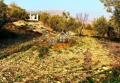 Terreno no urbanizable en venta en Vélez-Rubio ref: TR253731 foto