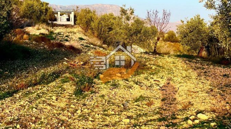 Almería - Vélez-Rubio - 7000m2