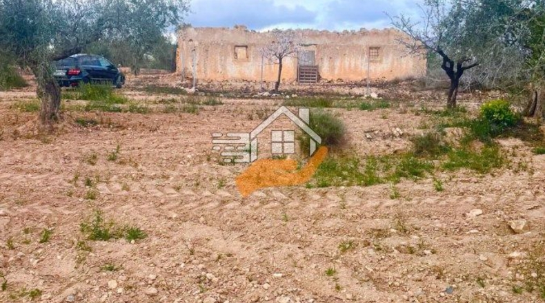 Almería - Vélez-Rubio - 9980m2