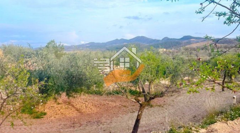 Almería - Vélez-Rubio - 9980m2