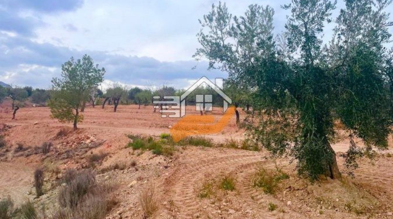 Almería - Vélez-Rubio - 9980m2