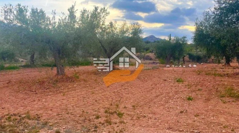 Almería - Vélez-Rubio - 9980m2