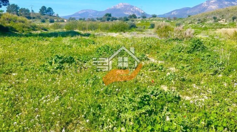 Murcia - Lorca - 60000m2
