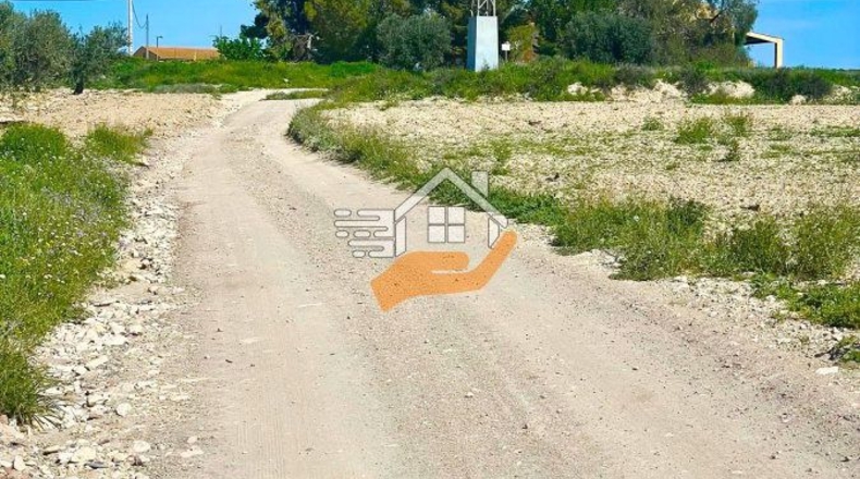 Murcia - Lorca - 60000m2