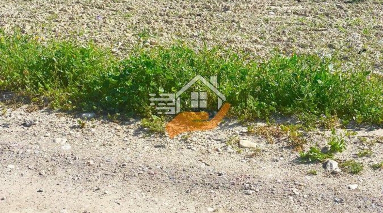 Murcia - Lorca - 60000m2