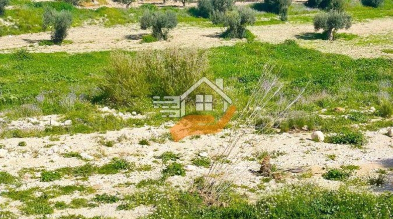 Murcia - Lorca - 60000m2