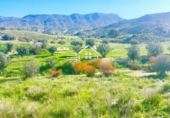 Земля на продажу у города Lorca. Фото