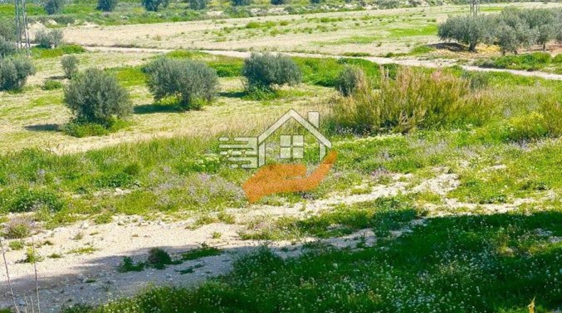 Murcia - Lorca - 60000m2