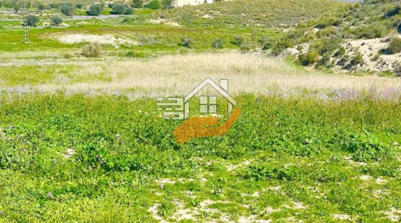 Murcia - Lorca - 60000m2