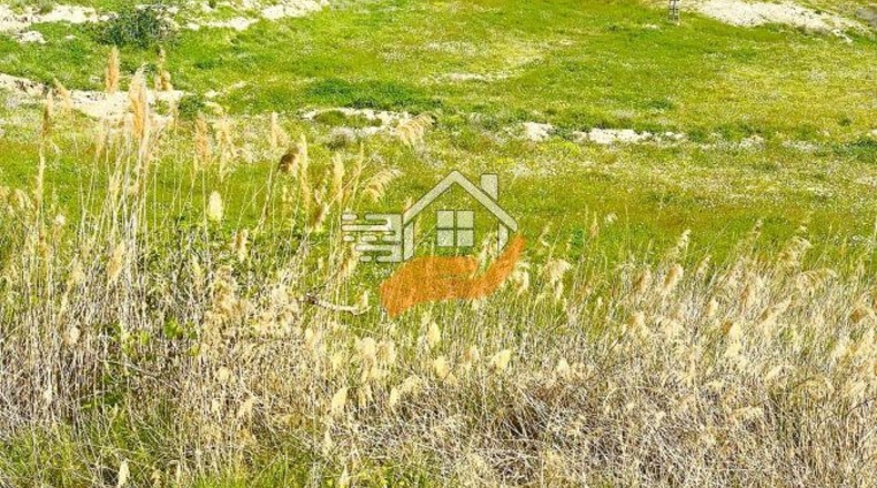 Murcia - Lorca - 60000m2