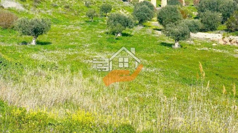 Murcia - Lorca - 60000m2