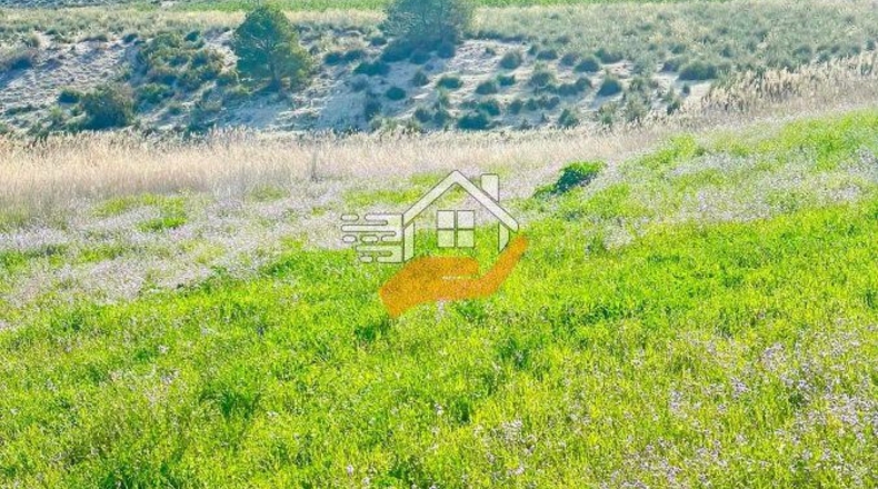 Murcia - Lorca - 60000m2