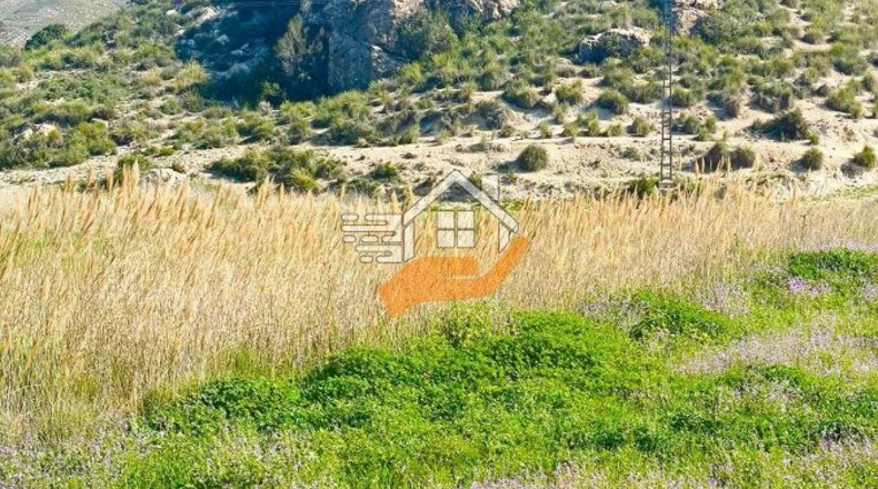 Murcia - Lorca - 60000m2
