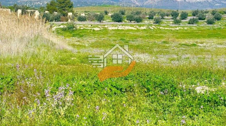 Murcia - Lorca - 60000m2