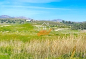 Земля на продажу у города Lorca. Фото