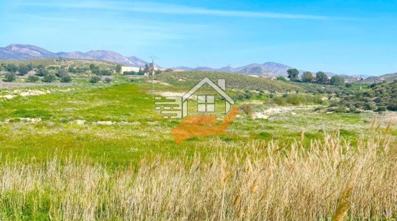 Murcia - Lorca - 60000m2