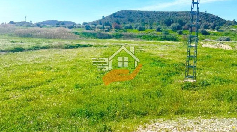 Murcia - Lorca - 60000m2