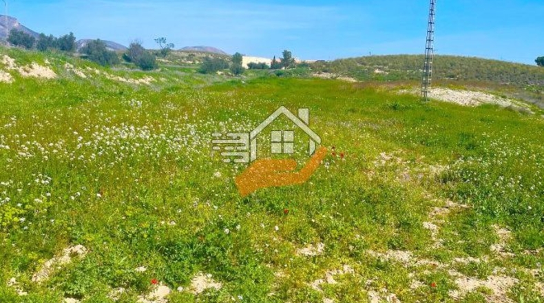 Murcia - Lorca - 60000m2