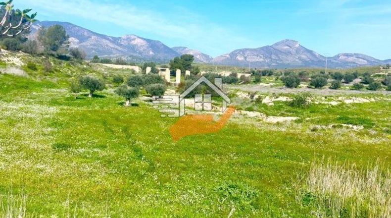 Murcia - Lorca - 60000m2