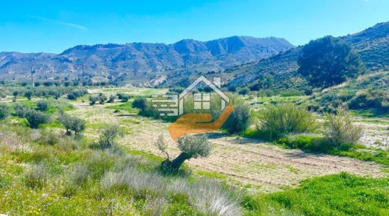 Murcia - Lorca - 60000m2