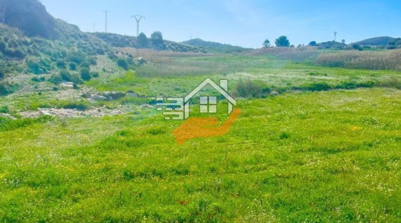 Murcia - Lorca - 60000m2